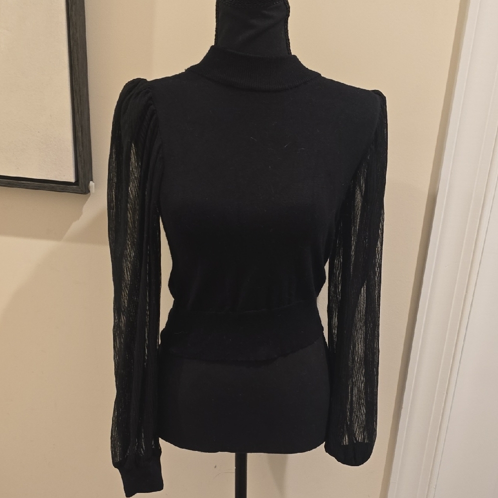 Black Sheer Sleeve Cropped Blouse